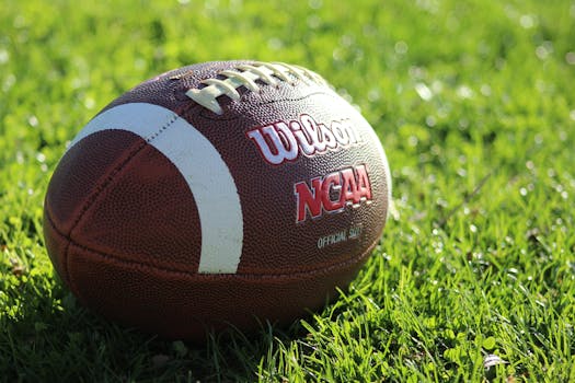 Picture for Tiger Football Skills Camp