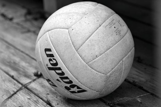 Picture for: Tiger Elementary Volleyball
