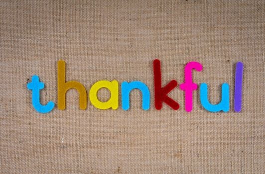 Picture for: After School 4H Adventures: Creative Hands, Thankful Hearts