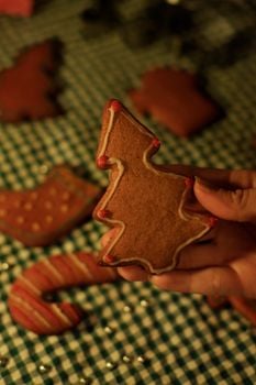 Picture for: Holiday Crafts, Cards, & Cookies