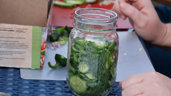 Picture for: Quick Pickled Veggies - Make and Take