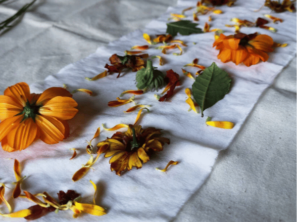 Picture for: "Parent & Me" Botanical Printing