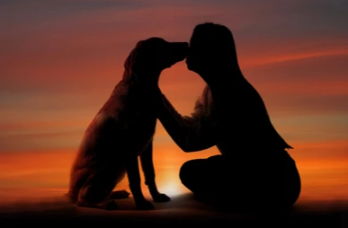 Picture for: The Spiritual Dimensions of the Human-Animal Bond