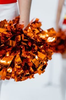 Picture for: Ready Set Cheer K-2nd grade