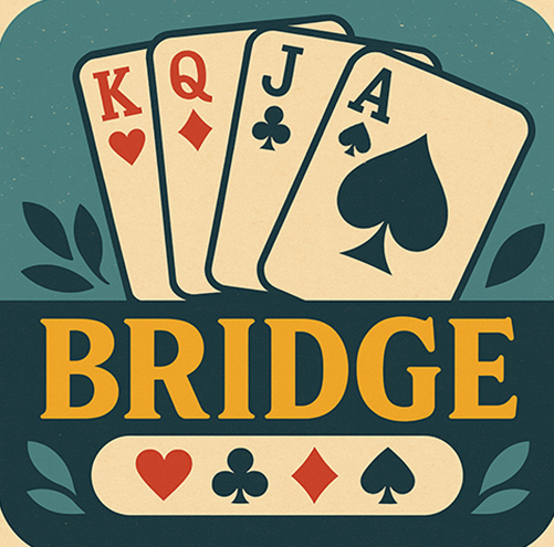 Image for Beginner Bridge