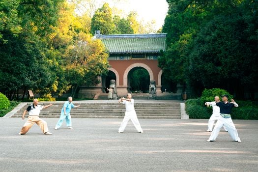 Picture for: Tai Chi Beginner