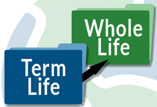Image for Understanding the Basics of Term of Whole Life Insurance