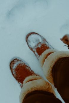 Picture for: Special Olympics Snowshoeing