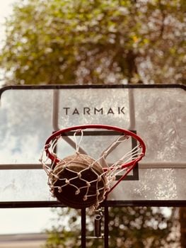A basketball hoop outdoors with net and backboard, featuring trees in the background.