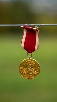 Picture for: Medal of Honor Heroes: Minnesota's Bravest