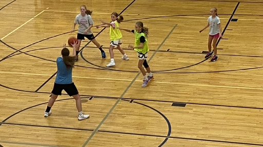 Picture for: Girl's Basketball Skills