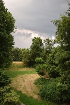 A serene park landscape with green trees and an overcast sky, capturing a peaceful summer day.