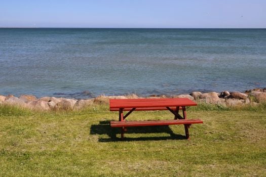 Picture for: Doing It Different: Habitat Help for Lawns, Shorelines & Pollinators