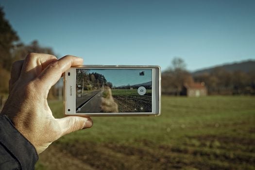 Picture for: Phone Photo Rescue Workshop for Beginners!