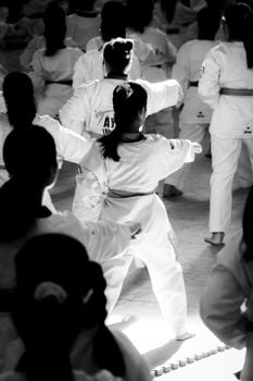 Picture for Sartell National Karate Parent-Child Class