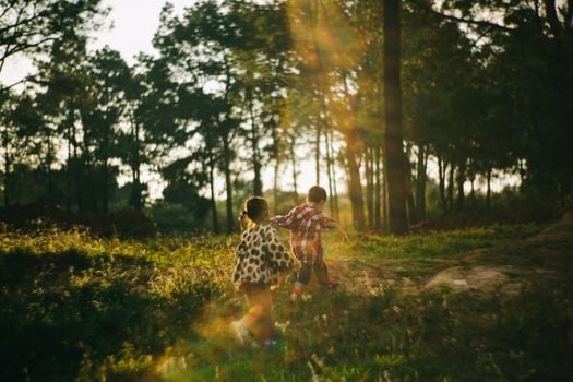Picture for: Seasons of Celebration with Get Outdoors (All Ages)