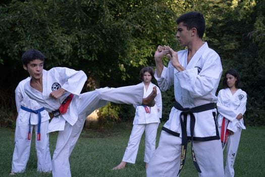 Picture for: Sartell National Karate Parent-Child Class