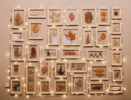 Framed collection of autumn leaves illuminated with warm string lights on a wall.