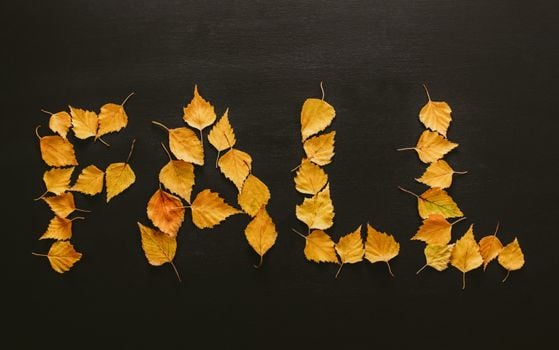 Yellow autumn leaves arranged to spell 'Fall' on a black background, symbolizing the season.