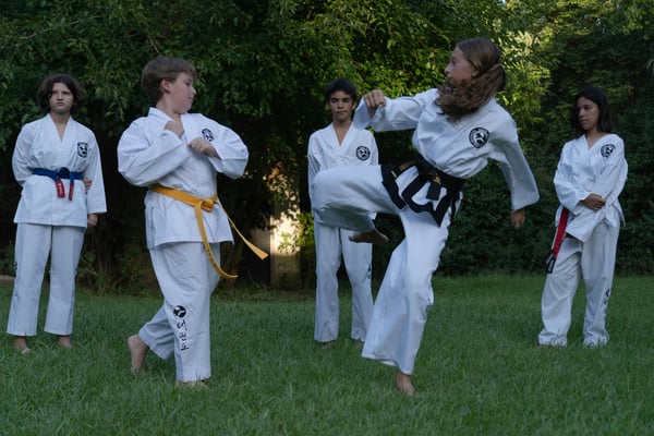 Picture for Martial Arts