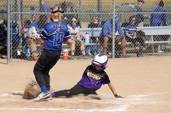 Picture for Softball