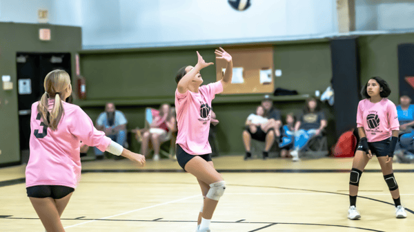 Picture for: PVES Volleyball Sport Sampler
