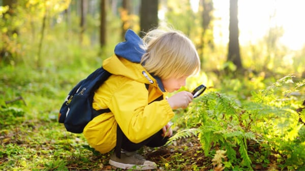 Picture for Outdoor Fun