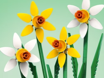 Picture for: Daffodils Take Home Lego Kit