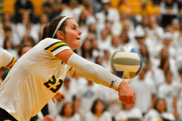 Picture for: Volleyball