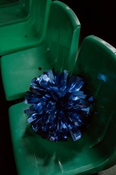 Image for Homecoming Youth Cheer Clinic (Gr. K-4)