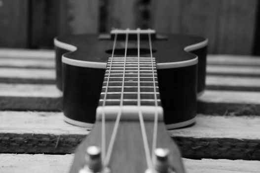 Picture for: Guitar or Ukulele Lessons (Gr.3 and older)