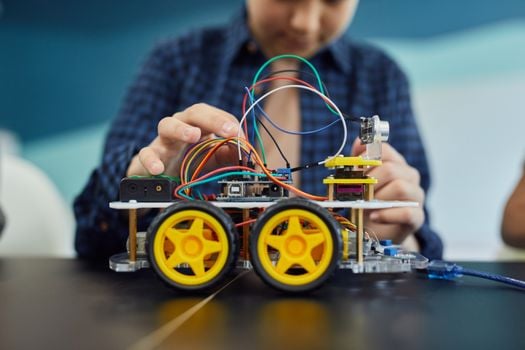 Picture for Robotics: Nature Bots