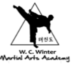 Picture for: Tae Kwon Do - Adult