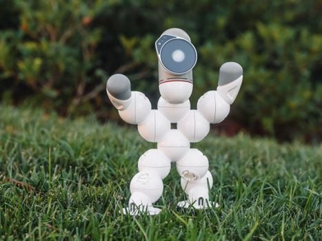 Picture for: YEL: Robotics Nature 'Bots
