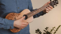 Picture for: Instant Ukulele for Hopelessly Busy People