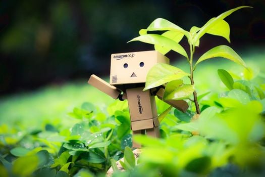 Cute cardboard robot toy amidst vibrant green plants outdoors.