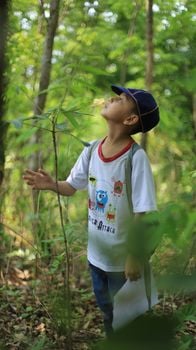 Picture for: Nature Watch