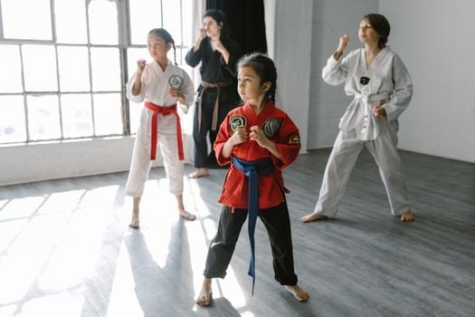 Picture for: Martial Arts