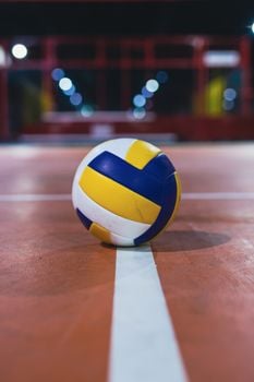 Picture for: Volleyball Dig It for Grade 6