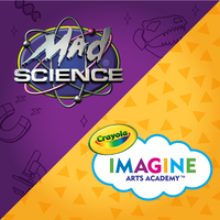 Picture for: Mad Science Fantastic Forces for Grades K-5