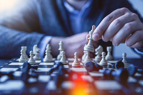 Image for Chess Wizards