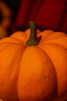 Image for Halloween and Harvest