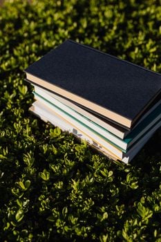Picture for: Book Club for Adults - South Ridge
