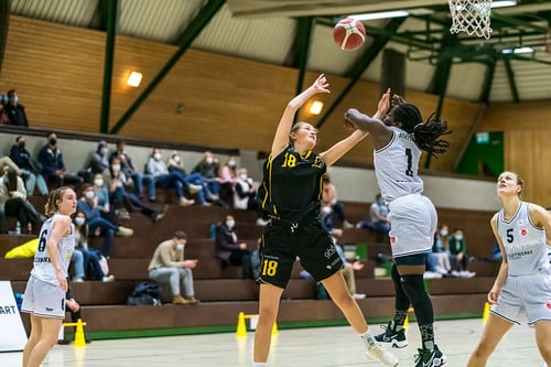Picture for: Adult Basketball - Cherry