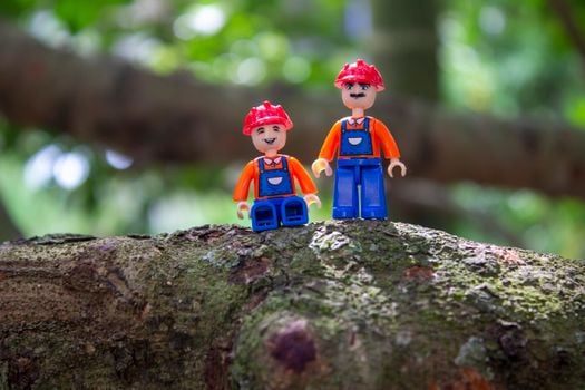 Picture for: Lego Club-North Woods