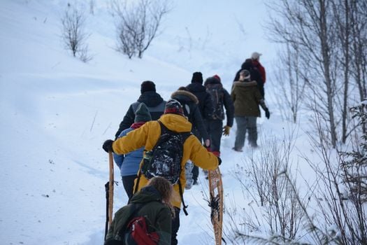 Image for Ski & Snowshoe Club - South Ridge
