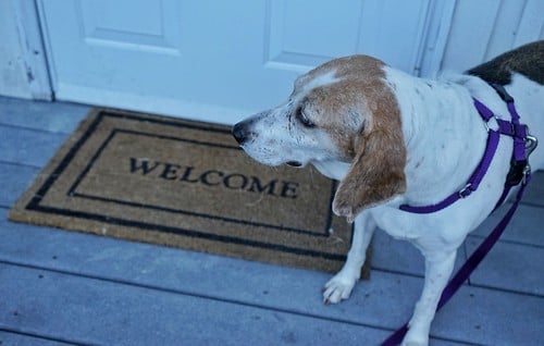Picture for: Make Your Own Welcome Mat Class for Adults-Tower Soudan