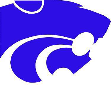 boys basketball, wildcat