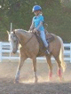 Picture for Horsemanship Summer Camp (ages 6-15)