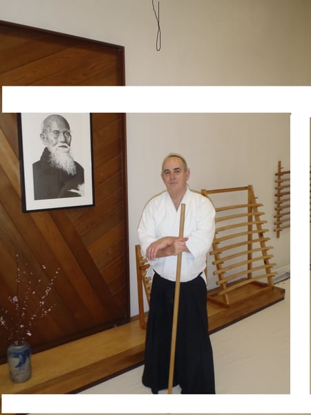 Adult Fitness Internal, aikido